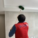 로얄크린 이미지