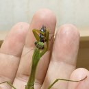 병설농장 이미지