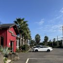 서성일로 | 섭지코지 근처 맛집 가성비 최고 애견동반까지 가능한 국수인가 갈치인가 방문후기