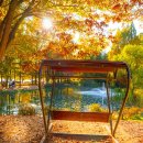 월영연못공원 이미지