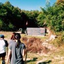 GYM ANABOLIC 이미지