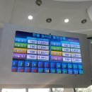 한울팜 | 울진 아이와 가볼만한 곳 한울 에너지팜 후기