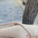 cafe oma(카페 오마) | 대구 앞산 카페 카페리움 :) 테라스가 너~~~무 예쁜 카페