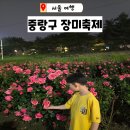 서울 중랑구 장미축제 주차 개화상황