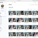 스시테마리겐