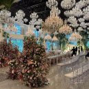 (주)큐로드 | 30대 예신 명동 라루체 홀계약 후기 (vs. 여의도 더파티움, 웨딩컨벤션)