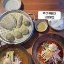고메밀면 - 남구 신선로 437 | 부산 해운대 밀면 맛집 육전 가득 고메밀면 추천 후기