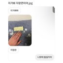 제이씨스 | 길을 잃어보는 것도