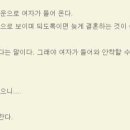 태양여행사주