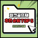 파크골프채 추천 순위 TOP 5(25년 6월) - 파크골프채 종류와 기능, 특징, 선택 팁 가이드