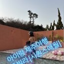 시퀀스애월 | 아이랑 제주여행 | 풀빌라 [시퀀스애월] 내돈내산 찐 후기