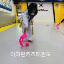 아이펀키즈태권도 이미지