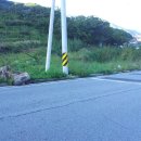 흙과 나무 이미지