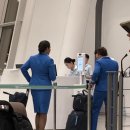 *****1017 | 인천->런던 ✈️KLM네덜란드항공 KL856, KL1017 비행후기,기내식,좌석 정보