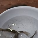 이천어름박골캠핑장 이미지