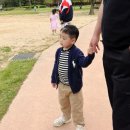 봉하마을 진영생태문화공원 이미지