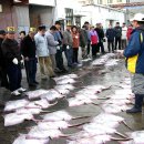 ﻿[1차]목포-홍도-흑산도여행(2012.5.4출발) 완료 이미지