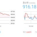 주식회사 신한알파서초위탁관리부동산투자회사 | 마감시황 2026/06/30(화) - 코스피 8,476.48 △81.83(+0.97%), 코스닥 916.18 ▼4.39 (-0.48%)