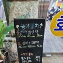 윙스코인노래연습장 이미지