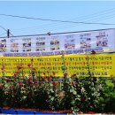 원조먹거리식당 이미지