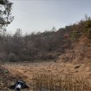 한반도면-1 이미지