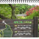 배롱나무 꽃과 고택이 어우러진 풍경 2. 논산 "명재고택" 이미지
