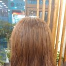 비앤비헤어 - 계양구 안남로 549 | 비앤비헤어