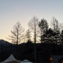 흥정리 | 강원도 여행 | 평창 라플란드 G3 리뉴얼 글램핑 후기