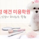이현경애견미용학원 이미지