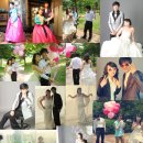 웨딩스토리 이미지