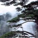천년바위 이미지