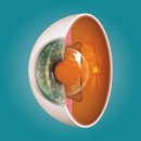 대연본안과의원 이미지