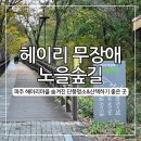 통일동산 헤이리로 버즘나무길 | 헤이리 무장애노을숲길, 파주 단풍명소 산책 코스 주차위치