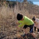 김종천농장 이미지