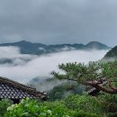 매실농원민박 이미지