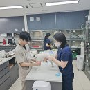 아이윌24시동물병원 | 성남24시동물병원 반려견 갑상선기능저하증 진단 후기