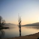 두물머리 이미지