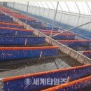 남일농산 - 이천시 | 남일농산
