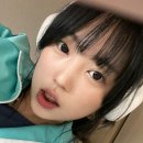 8월의 강아지 이미지