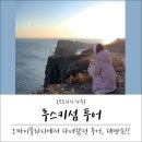 [블라디보스톡 가볼만한곳] 루스키섬 투어 추천!!! (feat.오마이블라디)