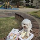 투베이크(to bake) 이미지