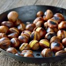 더조은농장 이미지