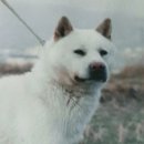 티.케이 이미지