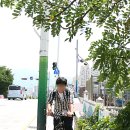석사동 벌말 경로당 이미지