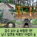 광주 남구 유아 숲 놀이터 편백나무 숲 제봉산 마법의 숲 이용 신청 방법 등