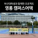 성혜기획 | [영롱 소식] 부산대 학생들과 함께한 캠퍼스어택! (Feat. 케이멜라인 콤부차, 부산대학교)