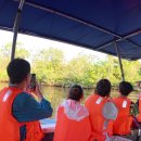 석양풍경 | 코타키나발루반딧불투어후기 맹그로브 석양 반딧불 티타임