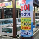 보물수산