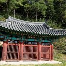 장수한누리전당 너울관 헬스장 티스토리