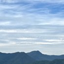 게으른 악어 이미지